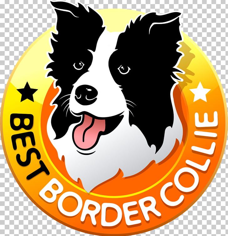 Dog Breed Border Collie Puppy Rough Collie Curso De Adestramento PNG, Clipart, Animal Shelter, Border Collie, Breed, Breeder, Carnivoran Free PNG Download