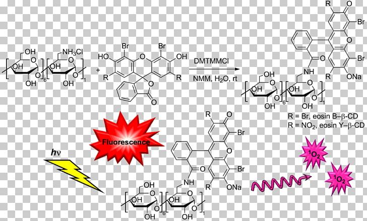 Eosin Cyclodextrin Beilstein Journal Of Organic Chemistry PNG, Clipart, Absorption, Acid, Angle, Area, Art Free PNG Download