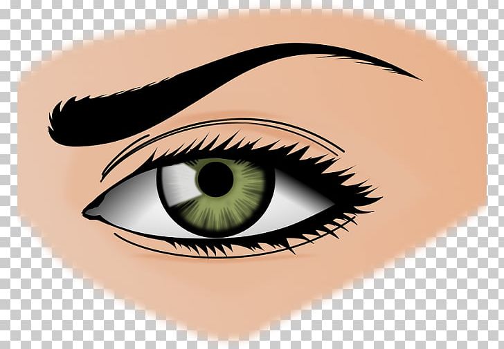Eye Color Human Eye PNG, Clipart,  Free PNG Download