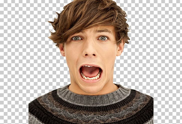 Louis Tomlinson One Direction Up All Night Tour The X Factor PNG, Clipart, Brown Hair, Cheek, Chin, Con, Direction Free PNG Download