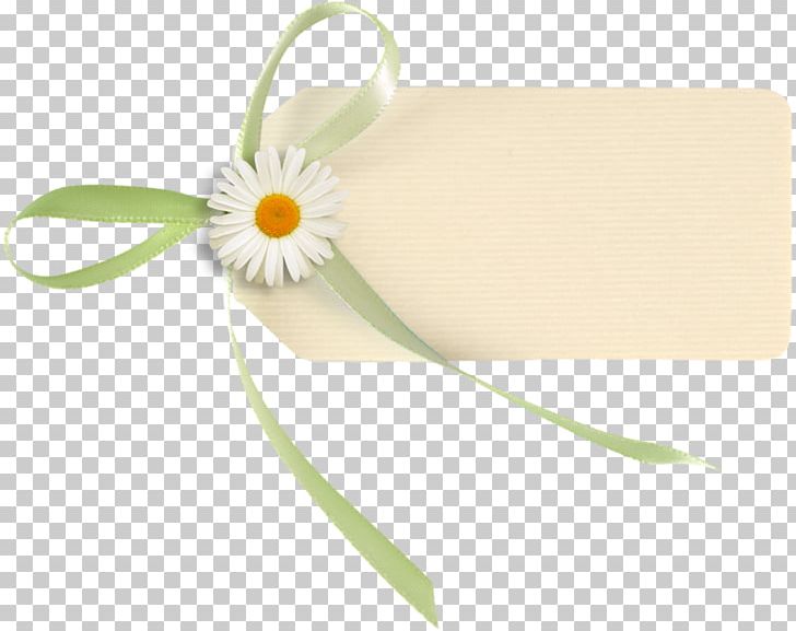 Paper Photography PNG, Clipart, Data Life Engine, Flower, Flower Banner, Graphic Designer, Label Free PNG Download