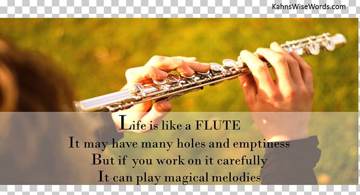 Flute Woodwind Instrument Musician Musical Instruments PNG, Clipart,  Free PNG Download