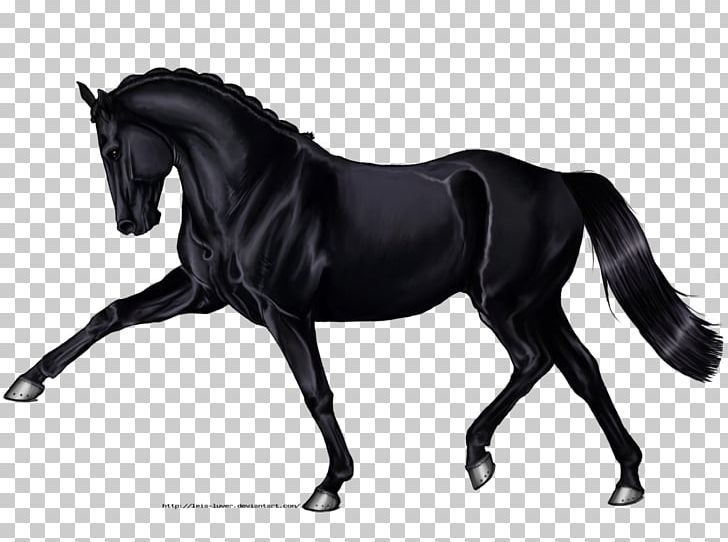 Hanoverian Horse Arabian Horse Andalusian Horse Black Drawing PNG, Clipart, Animals, Art, Bit, Black, Black And White Free PNG Download