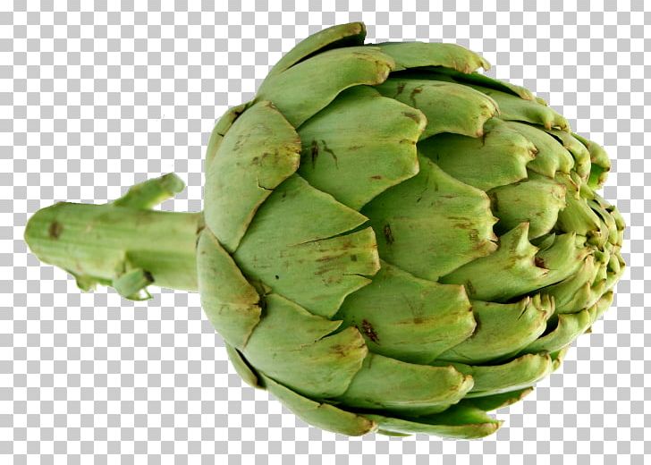 Vegetable Artichoke Nice Cynara PNG, Clipart, Artichoke, Artichokes, Cynara, Food, Food Drinks Free PNG Download