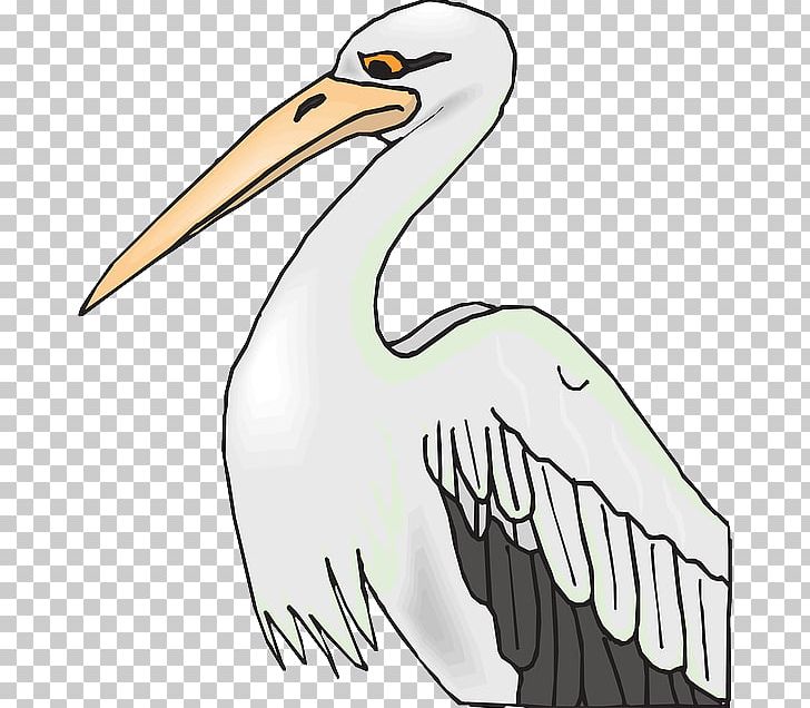 Bird Brown Pelican American White Pelican Coloring Book PNG, Clipart, American White Pelican, Animals, Artwork, Beak, Bird Free PNG Download