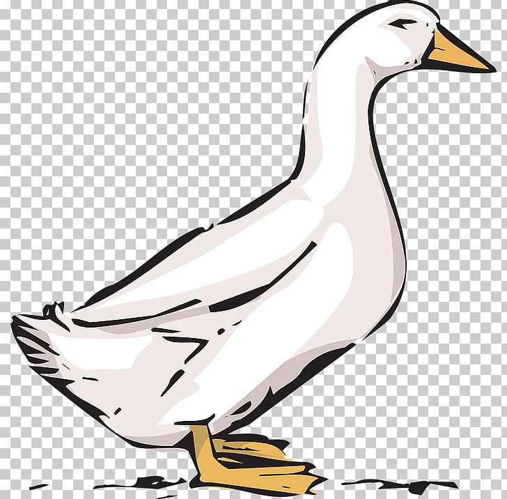 Goose Duck American Pekin Bird PNG, Clipart, American Pekin, Animal, Animals, Art, Artwork Free PNG Download