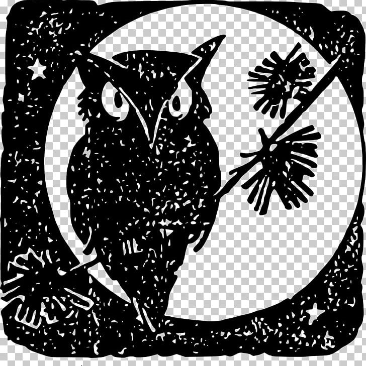 Owl Bird PNG, Clipart, Animals, Beak, Bird, Bird Of Prey, Black Free PNG Download