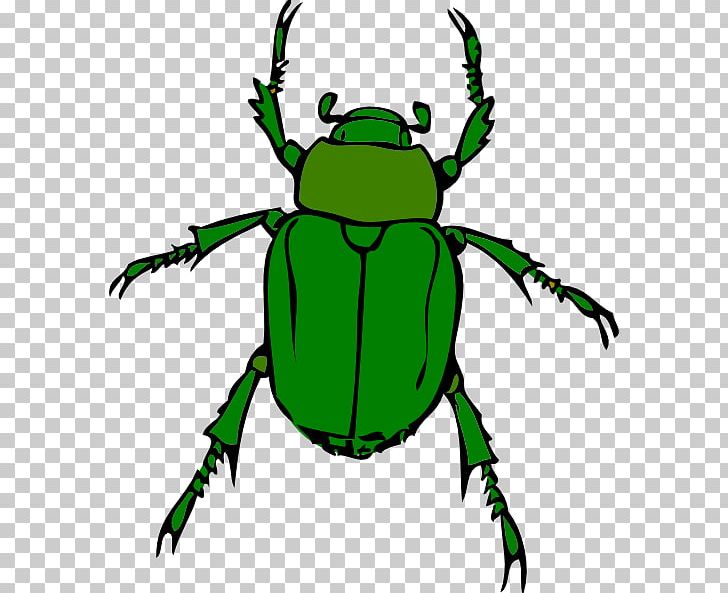 Beetle Free Content PNG, Clipart, Amphibian, Arthropod, Artwork, Beetle, Beetle Cliparts Free PNG Download