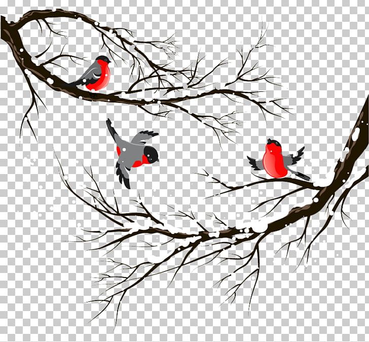 Bird Winter Stock Illustration Illustration PNG, Clipart, Beak, Bird Cage, Birds, Birds Vector, Branch Free PNG Download