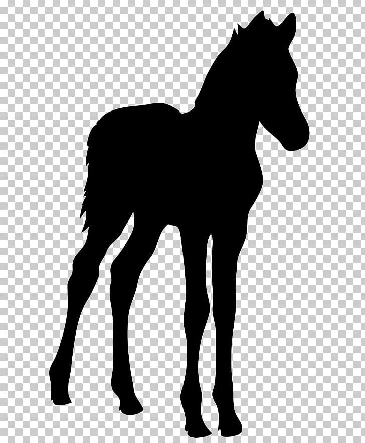 Horse Foal Silhouette PNG, Clipart, Black, Black And White, Bridle, Colt, Drawing Free PNG Download