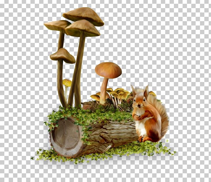 Mushroom PNG, Clipart, Computer Icons, Download, Encapsulated Postscript, Fauna, Fungus Free PNG Download