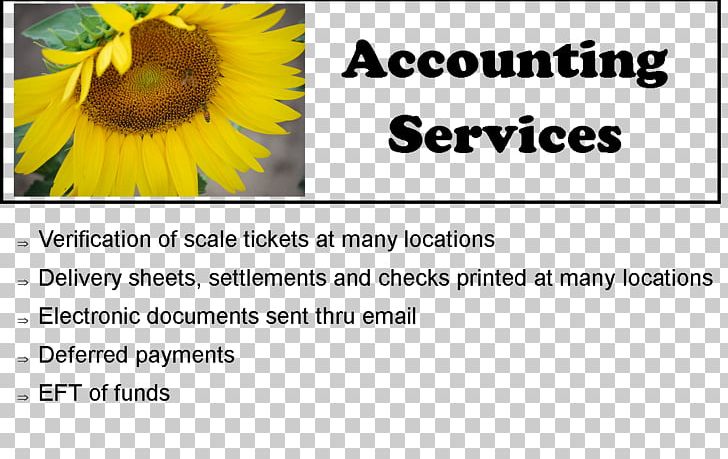 Sunflower Seed Samsung Sunflowers Happiness Font PNG, Clipart, Accounting, Authorization, Bank Account, Brand, Charlene Free PNG Download