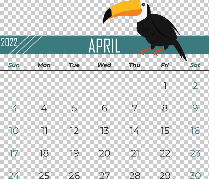 Birds Beak Line Calendar Font PNG, Clipart, Beak, Biology, Birds, Calendar, Geometry Free PNG Download