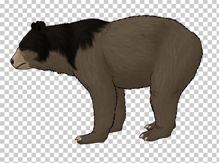 Grizzly Bear Pliocene Ursus Etruscus Ursus Minimus Himalayan Brown Bear PNG, Clipart,  Free PNG Download