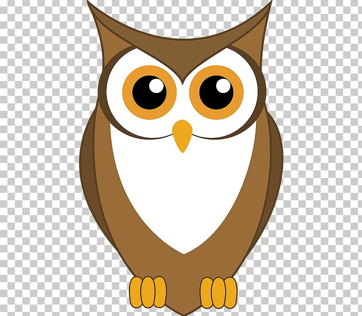 Barn Owl Bird PNG, Clipart, Animal, Animals, Balloon Cartoon, Beak, Bird Of Prey Free PNG Download