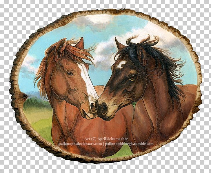 Mustang Foal Stallion Pony Halter PNG, Clipart, Animal, Foal, Halter, Horse, Horse Like Mammal Free PNG Download