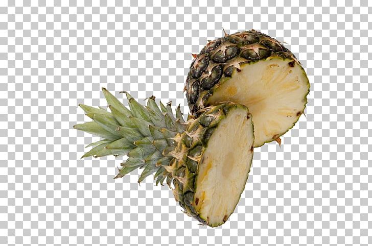 Pineapple Juice Fruit PNG, Clipart, Ananas, Auglis, Bromeliaceae, Cartoon Pineapple, Download Free PNG Download