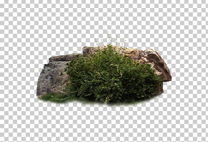 Stone Forest Rock PNG, Clipart, Download, Flowerpot, Grass, Grasses, Grass Group Free PNG Download