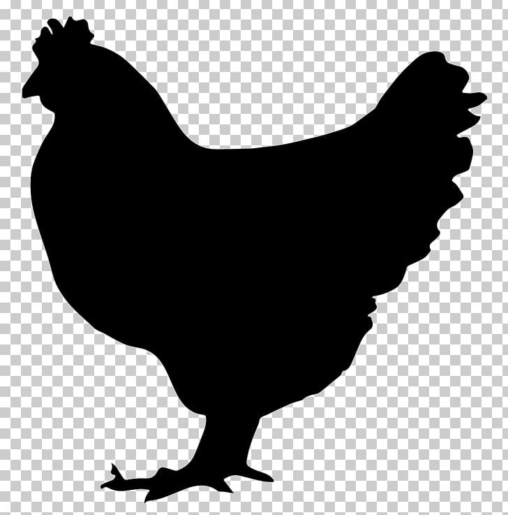 Chicken Rooster Hen PNG, Clipart, Animals, Beak, Bird, Black And White, Chicken Free PNG Download