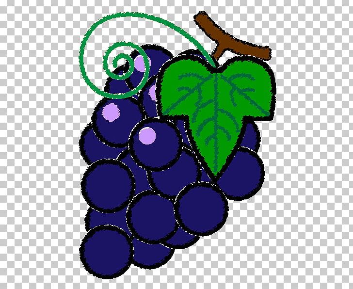 Grapevines Fruit PNG, Clipart, Artwork, Black And White, Circle, Color, Coloring Book Free PNG Download