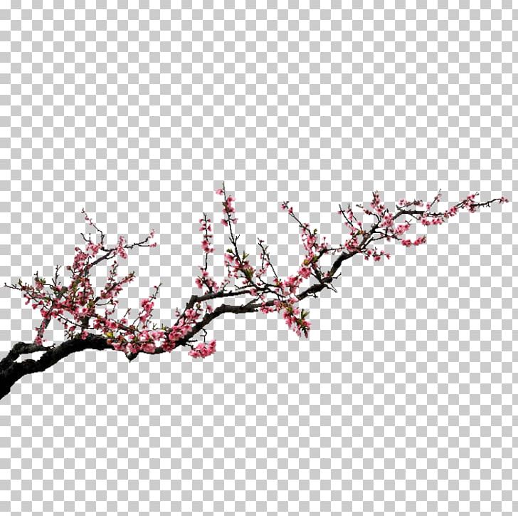 Ink Plum Blossom PNG, Clipart, Blossom, Branch, Cherry Blossom, Chinese Painting, Download Free PNG Download