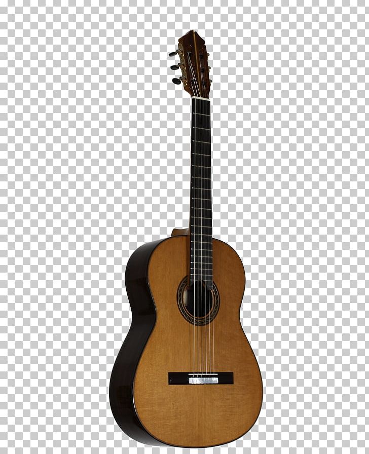 Acoustic Guitar Musical Instruments Pasillo Classical Guitar PNG, Clipart, Acoustic Electric Guitar, Classical Guitar, Cuatro, Cutaway, Guitar Accessory Free PNG Download