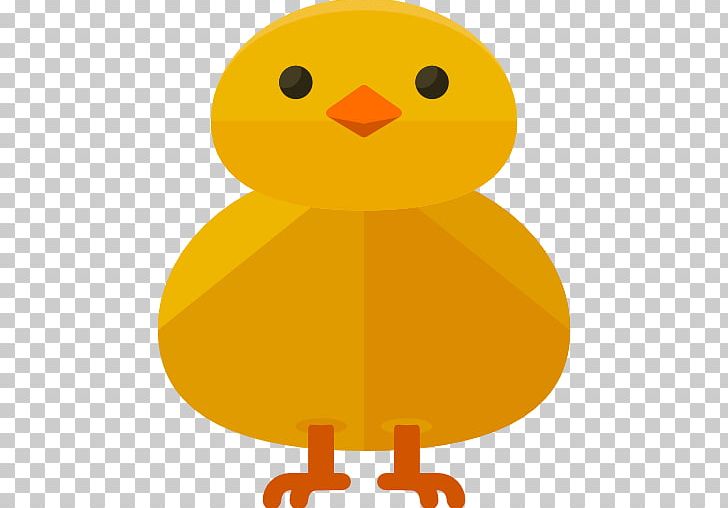 Chicken Duck Icon PNG, Clipart, Animal, Animals, Beak, Bird, Chick Free PNG Download