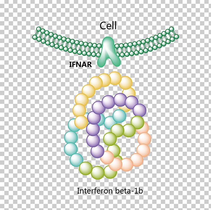 Platelet-derived Growth Factor Hemostasis Thrombus PNG, Clipart, Author, Bead, Body Jewelry, Ccr2, Fashion Accessory Free PNG Download