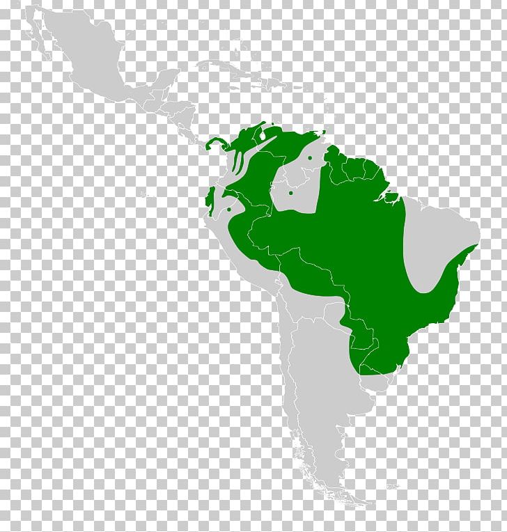 South America Latin America United States Blank Map PNG, Clipart, Americas, Blank Map, Country, Flags Of South America, Geography Free PNG Download