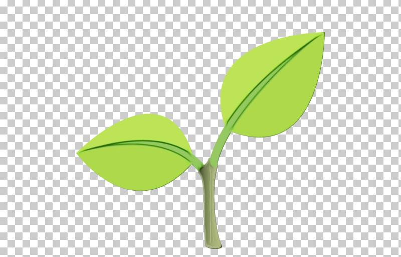 Leaf Plant Stem Green Line Font PNG, Clipart, Biology, Geometry, Green, Leaf, Line Free PNG Download