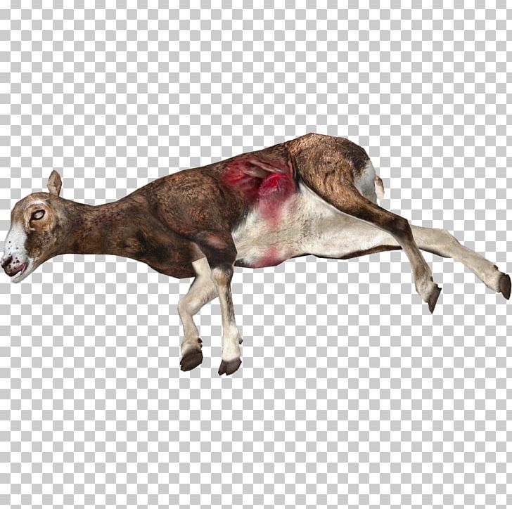 Cattle Cừu Mouflon Donkey Animal PNG, Clipart, Animal, Cattle, Cattle Like Mammal, Computer Icons, Cow Goat Family Free PNG Download