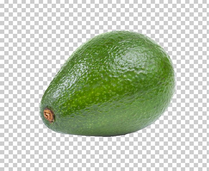 Avocado Salad Guacamole Hass Avocado PNG, Clipart, Avocado, Avocado Salad, Citrus, Food, Fruit Free PNG Download