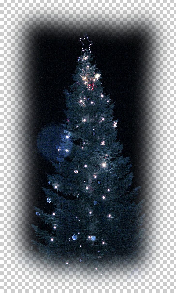 Christmas Tree Spruce Christmas Ornament Fir Pine PNG, Clipart, Christmas, Christmas Decoration, Christmas Ornament, Christmas Tree, Conifer Free PNG Download