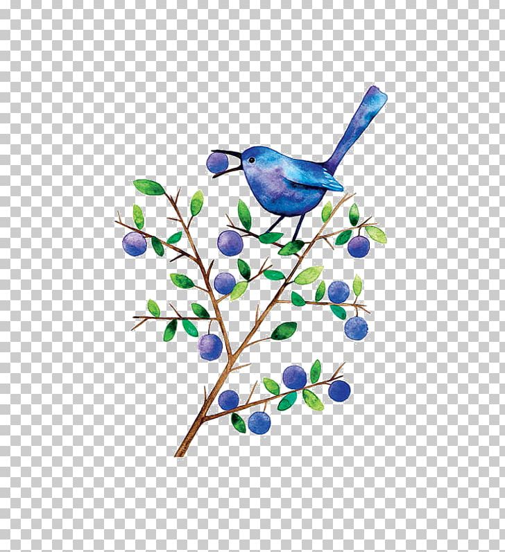 Drink Watercolor Painting Drawing PNG, Clipart, Alcoholic Drink, Beak, Bird, Blackthorn, Blue Free PNG Download