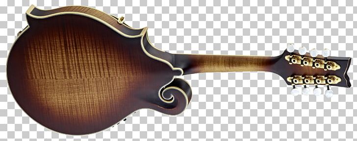 Acoustic-electric Guitar Mandolin Violin PNG, Clipart, Acousticelectric Guitar, Acoustic Guitar, Antique, Bass, Electric Guitar Free PNG Download