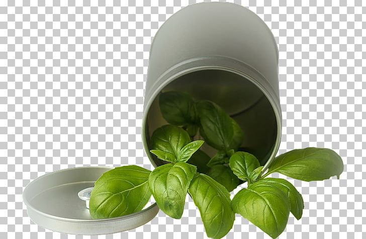 Basil Spice Pianta Aromatica Vegetable Condiment PNG, Clipart, Background Green, Barrel, Basil, Condiment, Decoration Free PNG Download