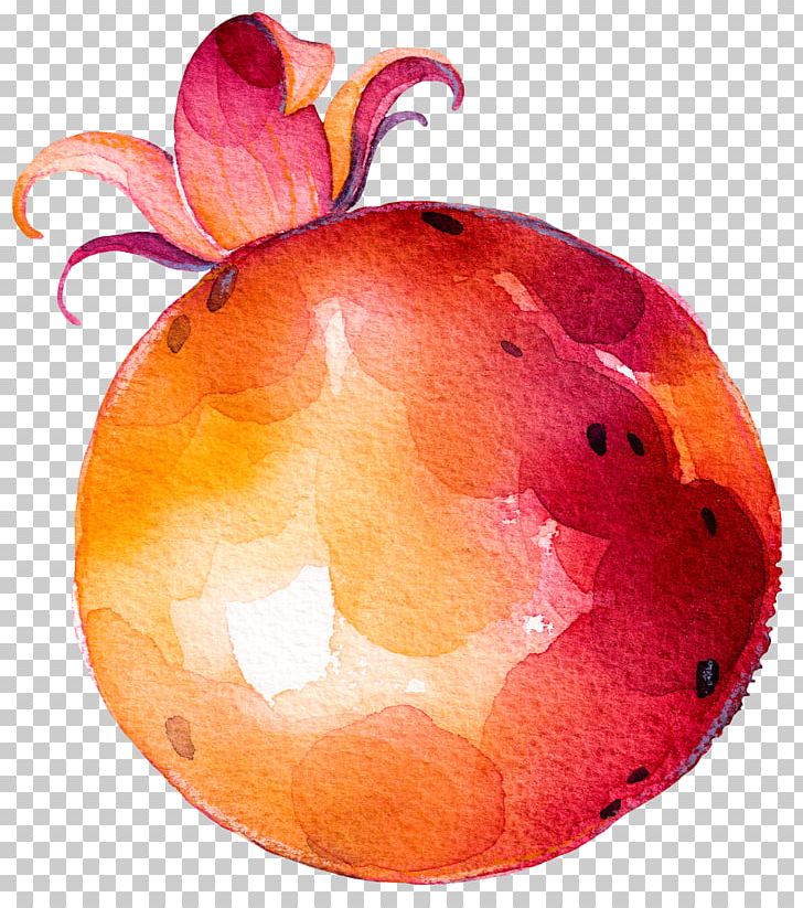 Fruit Vegetable Drawing PNG, Clipart, 3d Computer Graphics, Apple, Apple Fruit, Auglis, Creative Free PNG Download