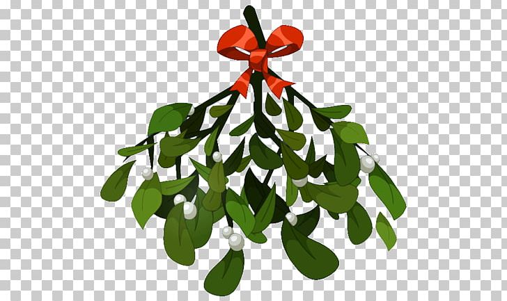 Mistletoe Phoradendron Tomentosum Christmas PNG, Clipart, Branch, Christmas, Christmas Decoration, Christmas Ornament, Clip Art Free PNG Download