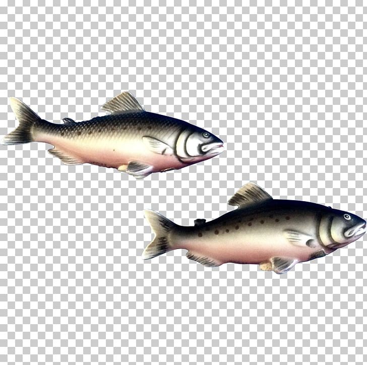 Trout Herring Oily Fish Salt PNG, Clipart, Animals, Black Pepper, Bony Fish, Brook Trout, Brown Trout Free PNG Download