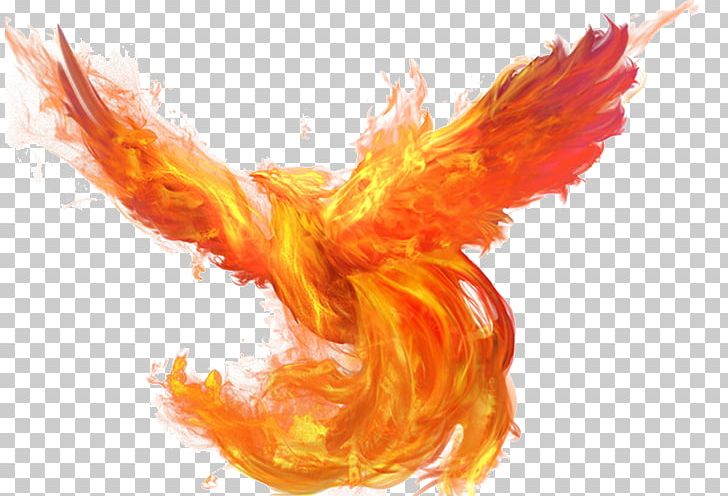 U5927u5929u4f7fu4e4bu5251 Flame Fire PNG, Clipart, Animal, Beak, Brilliant, Client, Computer Wallpaper Free PNG Download