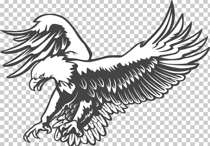 Bald Eagle Black And White Graphics PNG, Clipart, Animals, Artwork, Bald Eagle, Beak, Bird Free PNG Download