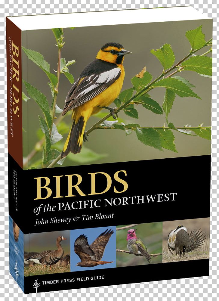 Birds Of The Pacific Northwest: Timber Press Field Guide Fly Fishing For Summer Steelhead PNG, Clipart, Advertising, Animals, Beak, Bird, Bird Food Free PNG Download