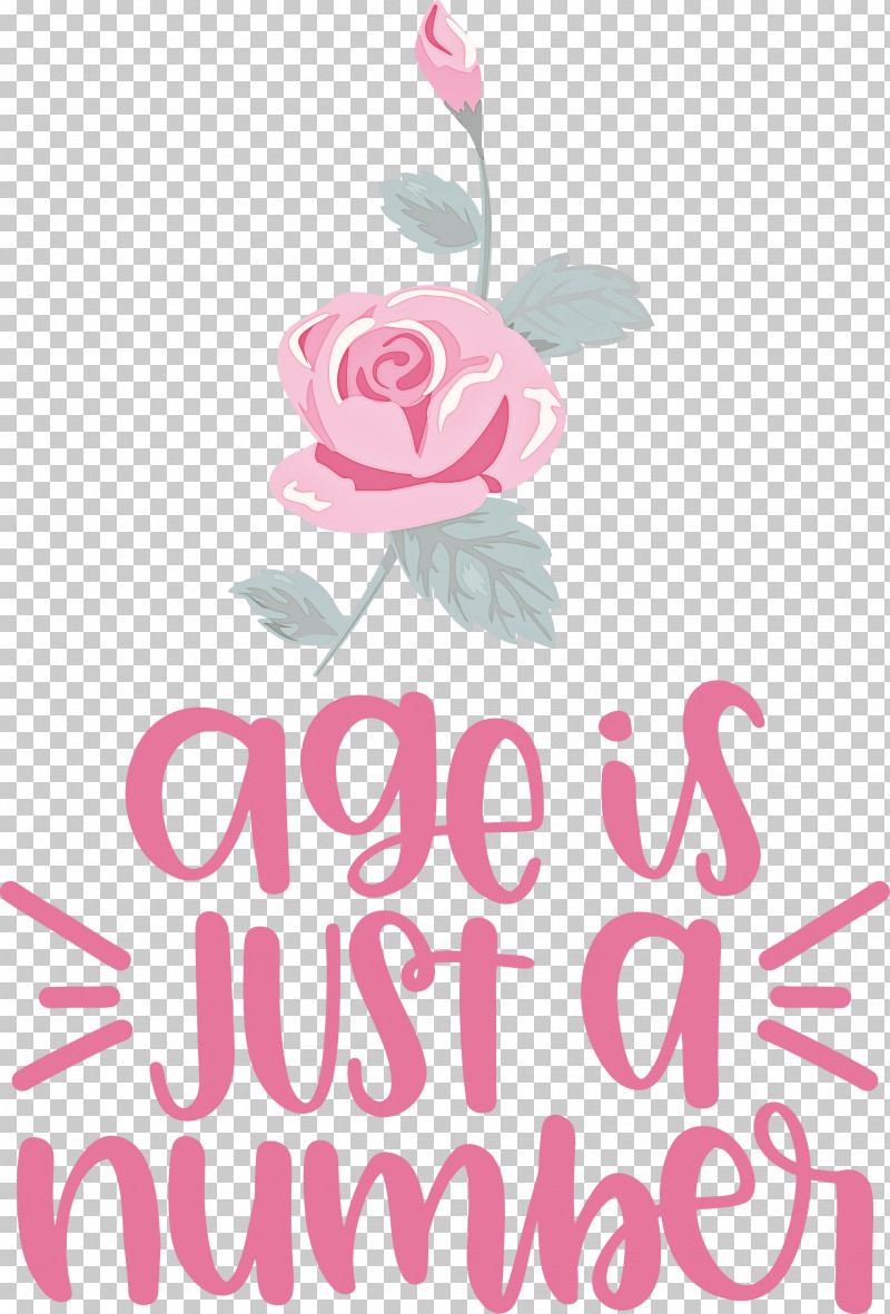 Birthday Age Is Just A Number PNG, Clipart, Biology, Birthday, Cut Flowers, Floral Design, Flower Free PNG Download