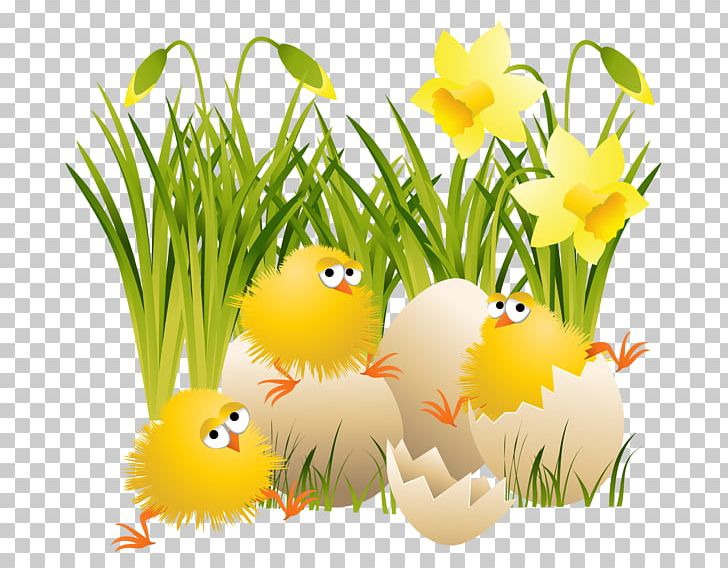 Chicken Easter Bunny Bird PNG, Clipart, Animals, Bird, Chicken, Chicken Meat, Christmas Free PNG Download