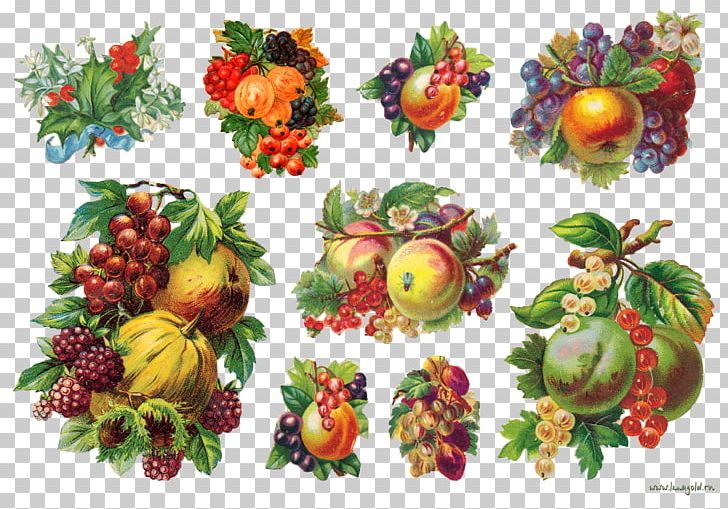 Berry Fruit Food Paper Vegetable PNG, Clipart, Berries, Berry, Bilberry, Cranberry, Decoupage Free PNG Download