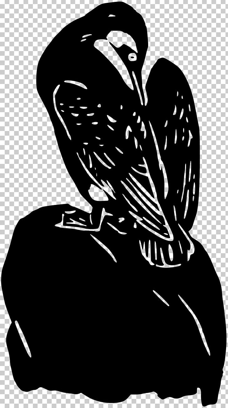 Bird Beak Owl PNG, Clipart, Allen, Animal, Animals, Art, Beak Free PNG Download