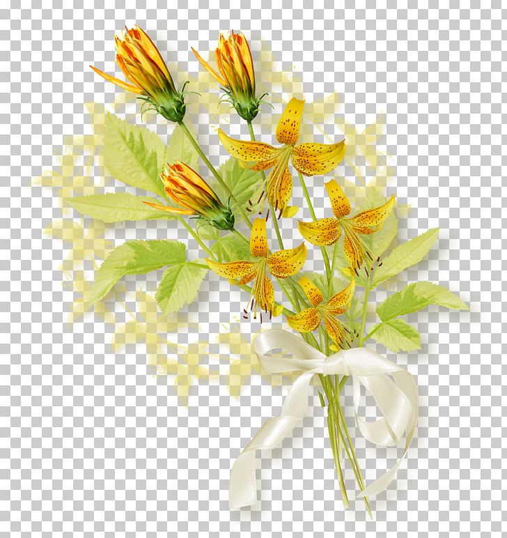 Flower Desktop Magnifying Glass Blog PNG, Clipart, Blog, Cut Flowers, Desktop Wallpaper, Floral Design, Floristry Free PNG Download