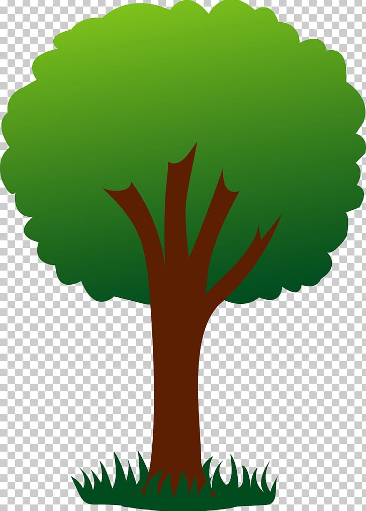 Tree Free Content Drawing PNG, Clipart, Branch, Cartoon, Drawing, Flower, Flowering Plant Free PNG Download