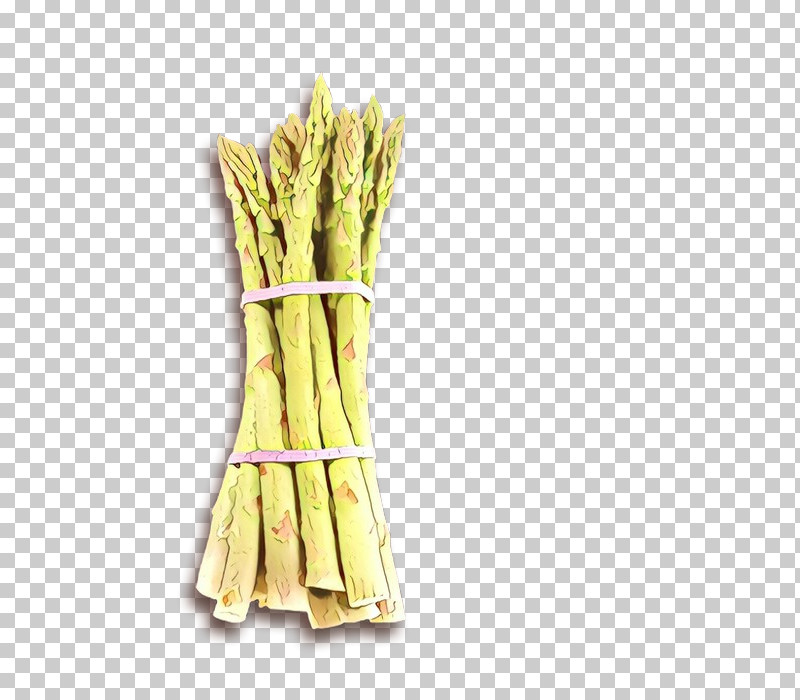 Asparagus Vegetable Plant Leek Food PNG, Clipart, Asparagus, Food, Leek, Plant, Vegetable Free PNG Download