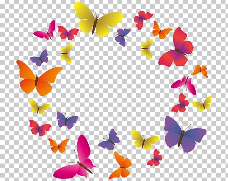 Butterfly South Korea Health Care Organization PNG, Clipart, Brush Footed Butterfly, Butterfly, Child, Floral Design, Flower Free PNG Download